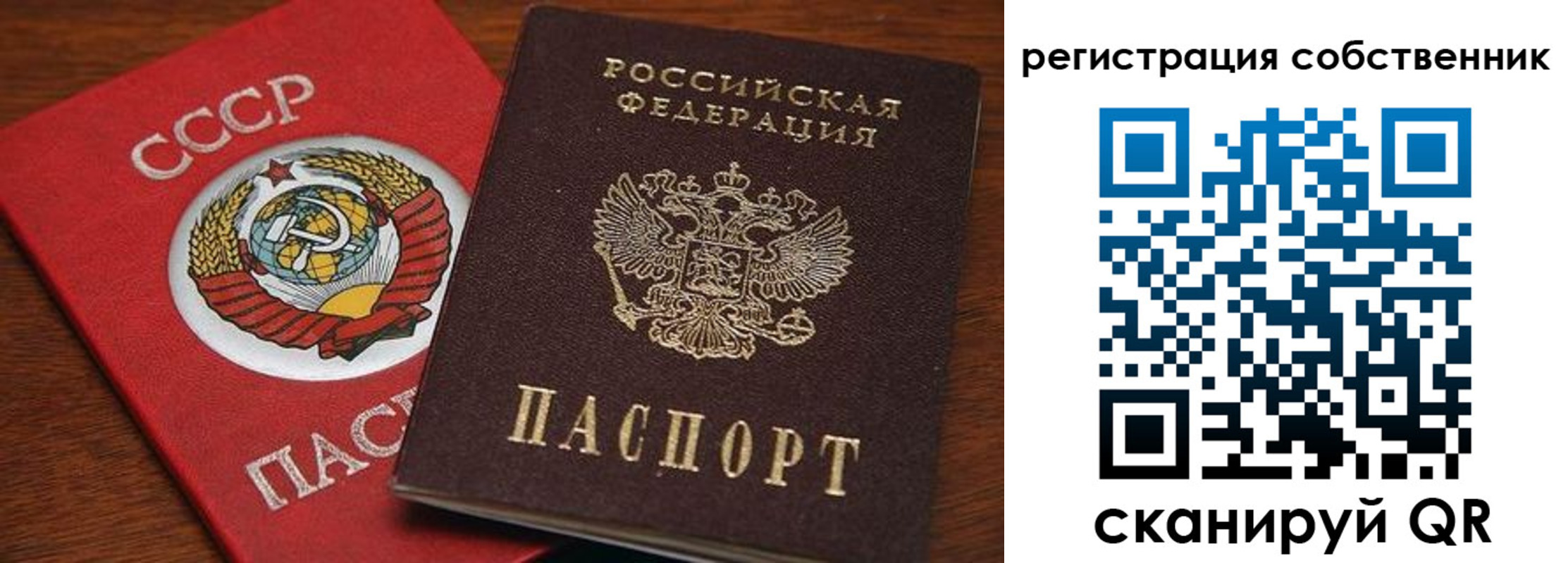 временная регистрация поиск в Звенигово